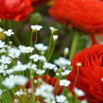 서울 결혼식 비용